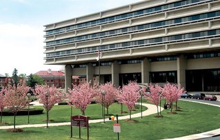 Walter Reed Army Medical Center